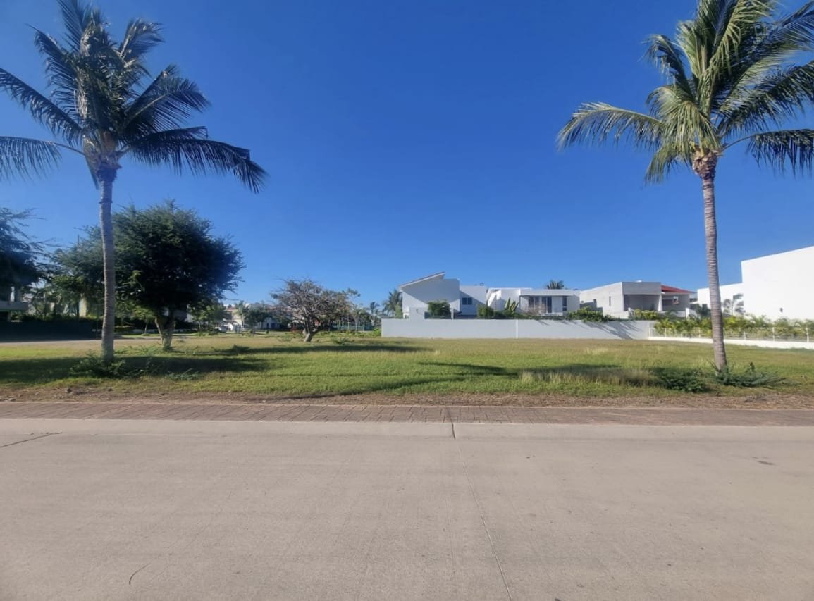 Lote 51 — photo 2