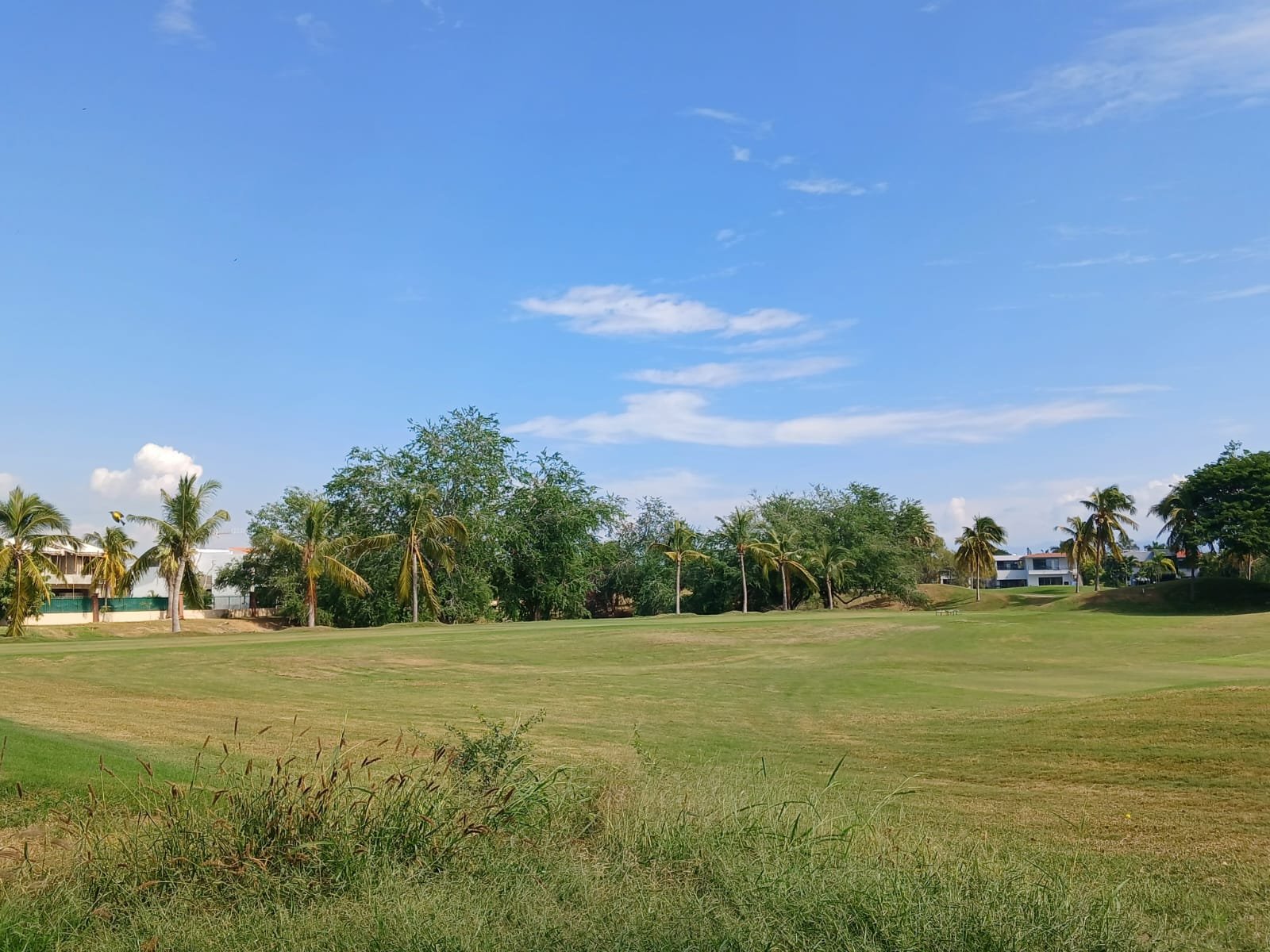 Lote Bella Vista 12 — photo 5